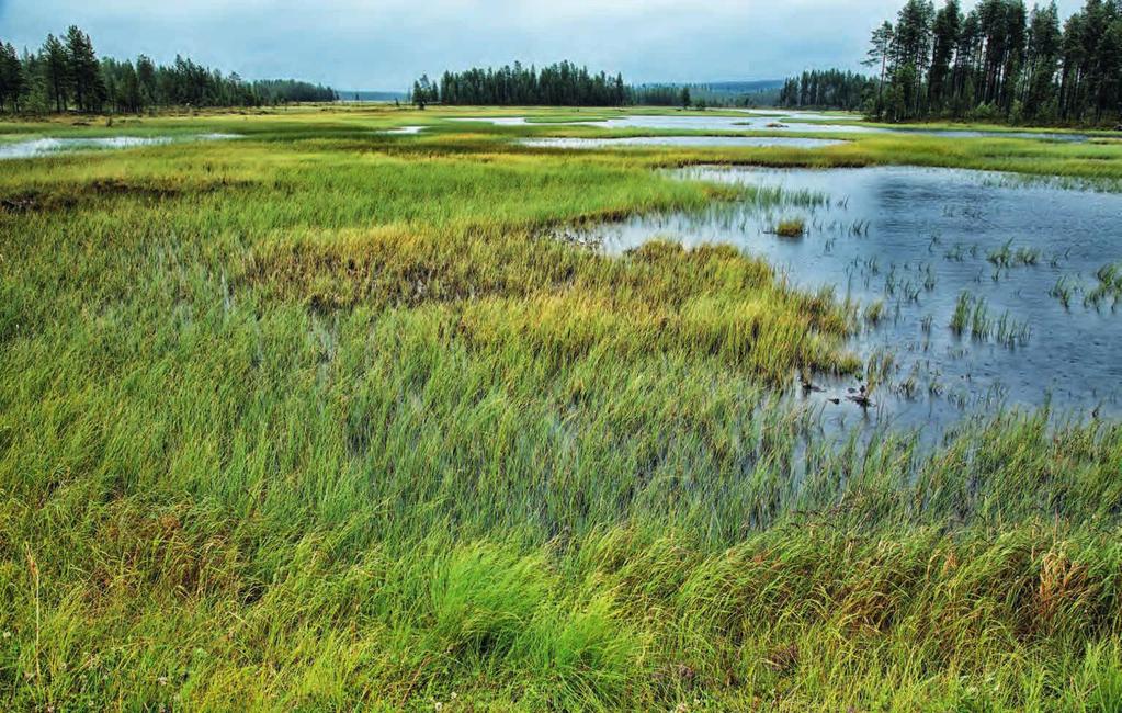 Seenlandschaft bei Posio, Lappland, Finnland Max Galli