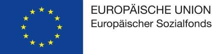 Datenblatt zur Erhebung von Indikatoren im Rahmen des ESF 2014-2020 Richtlinie zur Förderung sozialer Innovationen im Land Brandenburg - Modellprogramm zur Beschäftigungsförderung und