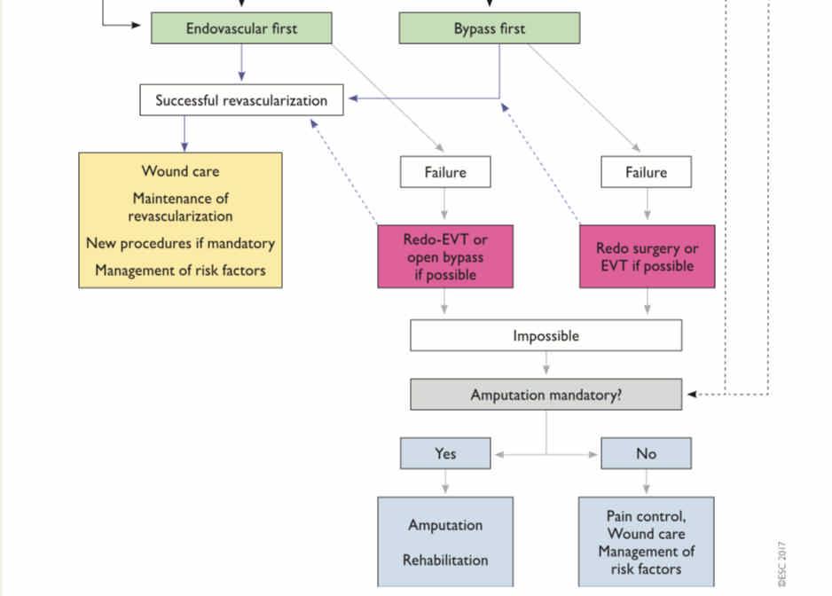 ?  Management Revascularization not feasible +