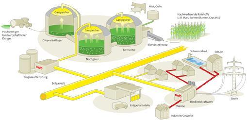1. Bericht aus dem Handlungsfeld Energie Projekttitel Biogasaufbereitung und Einspeisung eines Biogasanlagenverbundes in der AktivRegion Projektträger Projektinhalt Projektziele AktivRegion NF Nord