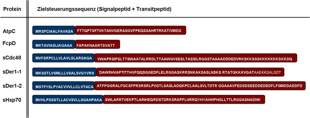 ANHANG B Proteinidentifikationsnummern und Zielsteuerungssequenzen Identifikationsnummer der in dieser Arbeit untersuchten Proteine aus P. tricornutum. Protein ID PhatrDB v2.