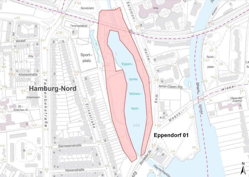 Monitoringflächen im Bezirk Hamburg-Nord Eppendorf 01 Abbildung 1: Monitoringfläche Eppendorf 01 im Bezirk Hamburg-Nord.