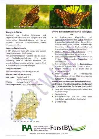 Umsetzungsinstrumente im ÖW Waldentwicklungstypen-RL (2014) FFH-Buchenwälder Waldbiotopkartierung