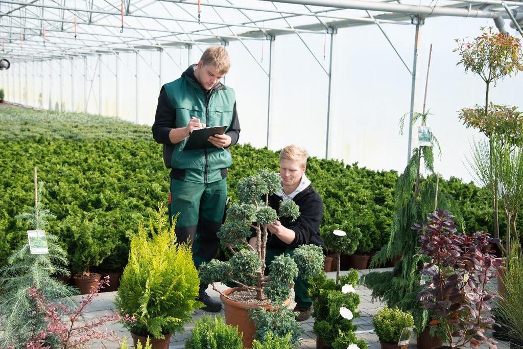 Landwirtschaftskammer Niedersachsen Berufsbildung im Gartenbau Pflanzenliste für die Ausbildung zum Werker/zur Werkerin im Gartenbau in der Fachrichtung Baumschule Diese Pflanzenliste dient als