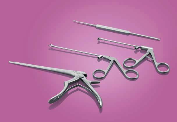 Endoskope und Instrumente zur minimal-invasiven transnasalen Die Verwendung eines Endoskops in der transnasalen bietet deutliche Vorteile.