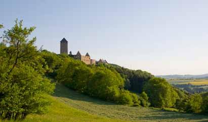 Breitbandversorgung Pfälzer Bergland - Projektdokumentation 1. Das Pfälzer Bergland Das Versorgungsgebiet liegt im Südwesten von Rheinland-Pfalz, an der Landesgrenze zum Saarland.