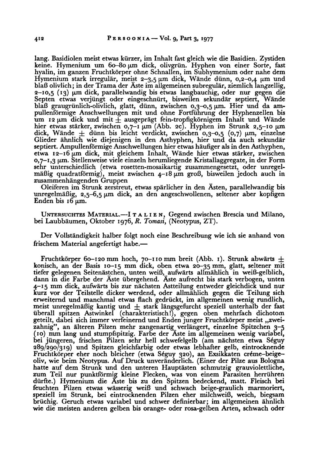 412 Persoonia Vol. 9, Part 3, 1977 lang. Basidiolen meist etwas kürzer, im Inhalt fast gleich wie die Basidien. Zystiden keine. Hymenium um 60-80 pm dick, olivgrün.