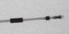 EINFÜHRUNG IN MRT TAUGLICHE STIMULATIONSSYSTEME RÖNTGEN-KENNUNG 1-19 1 2 1 2 3 [1] Anodenring mit konstantem Durchmesser; [2] Fluoroskopischer Marker proximal zur distalen Spitze; [3] Koradiale Spule