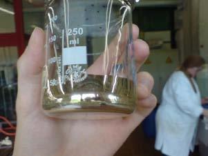 Abb. 2.: undkolben mit Silberschicht Abb..: Becherglas mit Silberschicht Entsorgung: Die Silberschichten aller betroffenen Glasgefäße wurden mit etwa 20 ml konzentrierter Salpetersäure gelöst.