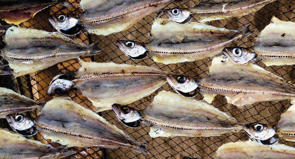 INHALT Oben: Fischgerichte sind in Portugal allgegenwärtig. Besonders beliebt ist hier das Nationalgericht Bacalhau.