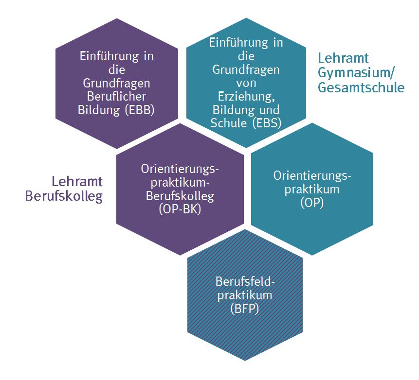 Bildungswissenschaftlicher Studienaufbau