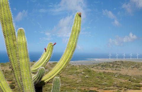 SDG 9 Industrie, Innovation und Infrastuktur Vader Piet ist der erste Windpark auf Aruba.