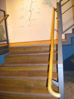 Die Treppe hat beidseitige Handläufe. Die Handläufe werden am Anfang und am Ende der Treppenläufe weniger als 28 cm waagerecht weitergeführt.