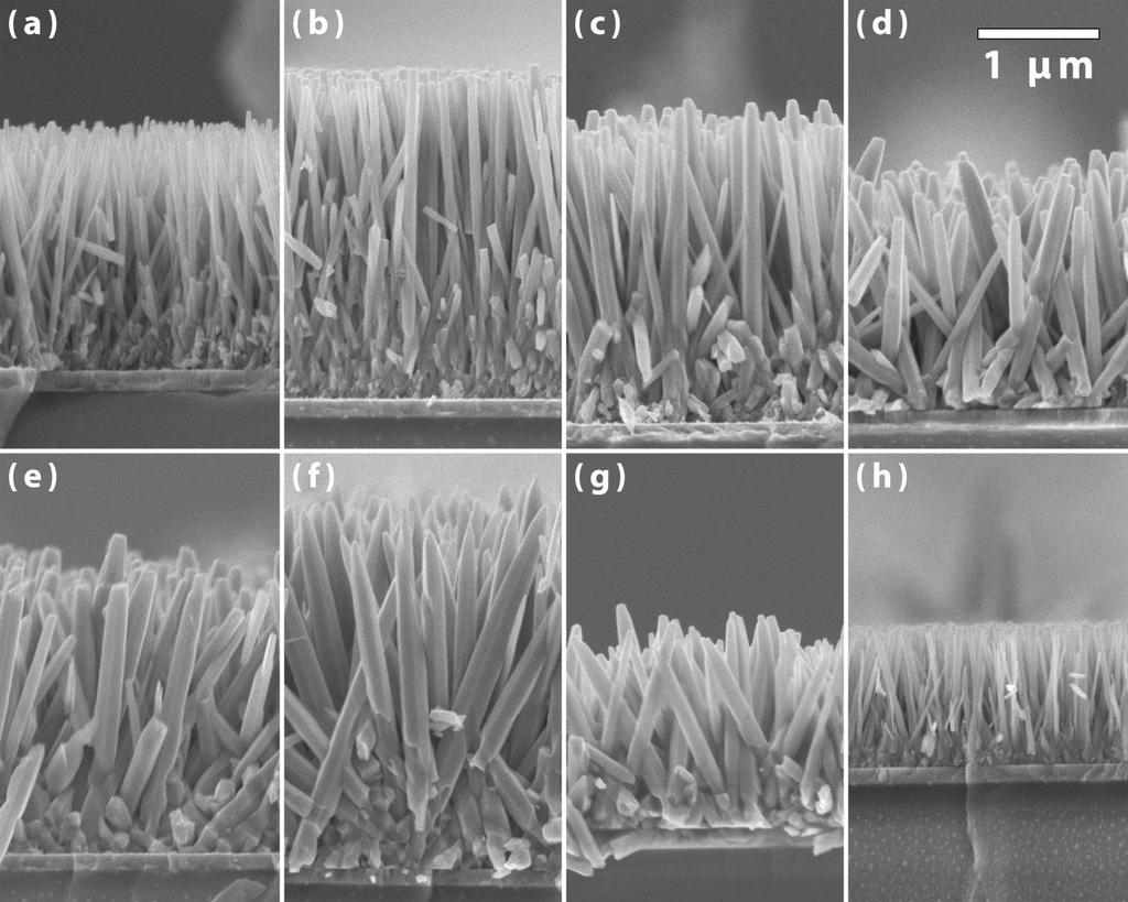 3 Highly Oriented Zinc Oxide Nanowire Arrays for Hybrid Inorganic-Organic Solar Cells less effective as the ph of the solution increases, such that the lateral growth becomes faster and the resulting