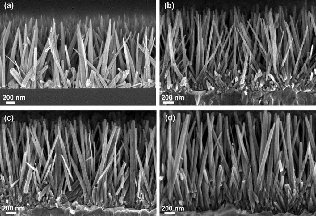 4 Zinc Oxide Nanowires for Piezoelectric Applications Figure 4.1 Cross section FESEM images of ZnO nanowire arrays prepared by spin-coating and calcination at 350 C.