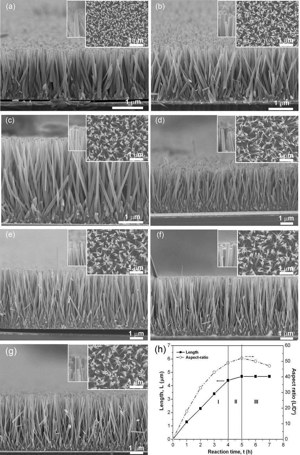4 Zinc Oxide Nanowires for Piezoelectric Applications Figure 4.