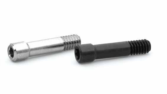 Die Schraube Zur sicheren Verbindung mit dem Implantat Vorteile Laborschraube - Fertigung aus Edelstahl - Torx Schraubenkopf T6 bei allen Systemen Finale Schraube - Titan Grade 5 ELI - Komplette