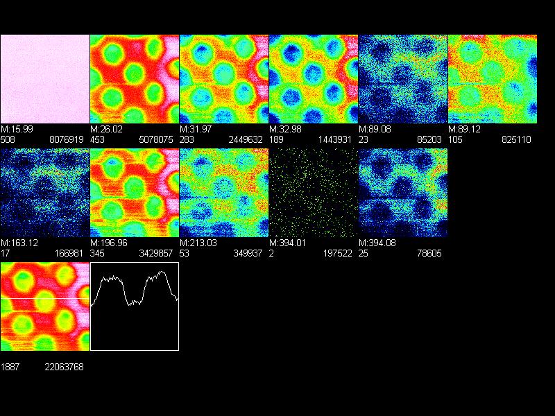 Imaging-ToF-SIMS Lateral strukturiertes Poly(γ-benzylglutamat) 15.99 amu 6.0 amu 31.97 amu 3.98 amu 89.08 amu 89.