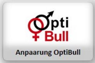 OptiBull September 2017