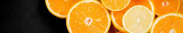 Oranges 1001
