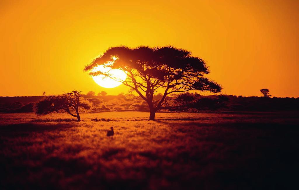 Sonnenuntergang in der Wildnis Namibias Kai-Uwe Küchler 1 2 3 4 5 6 7 8 9 10 11 12 13 14 15 16 17 18 19 20 21 22 23 24 25 26