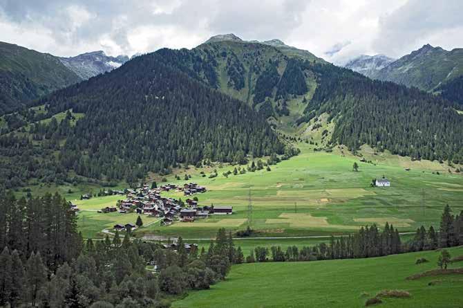 Abb. 12 Der Schweizer Wald ist wertvoller Rohstofflieferant und übernimmt vielfältige gesellschaftlich erwünschte Funktionen, wie Schutz vor Naturgefahren, ist Erholungsraum und Habitat für eine