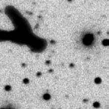 39 Oktober 1927 (B5351a), also nach Wolfs letzter Veröffentlichung, ist der Stern wieder im Ausbruch (ca. 13mag!) erkennbar.
