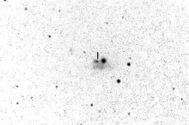 Aus der Sektion 73 Abb. 1: SN 2012 A in NGC 3239 am 25.1.2012 von Wolfgang Quester Abb.