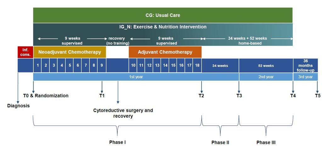 Ernährungsinterventionsstudie bei Ovarialkarzinompatientinnen während und nach der ersten Chemotherapie. Prim. Endpunkt: PFS nach 36 Monaten, sek.