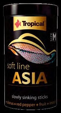 ASIA size S und size M weiches, langsam sinkendes Futter für alles- und fleischfressende asiatische Fische enthält Hering und Insekten, die eine Quelle von hochwertigem Protein und den Fettsäuren