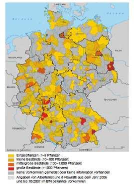 Pollen/m³ im Vergleich zu Birke ab 50 und Hasel ab 100 Pollen/m³ -2007: Vorkommen in 267 Landkreisen in D (Otto et al.