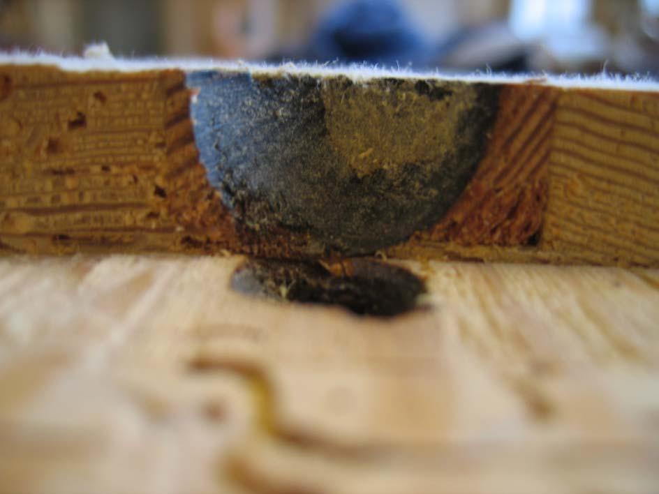 Abbildung 12 Querschnitt Pulpetenbrett TURLEY hat von der alten Windlade nur den Kanzellenrahmen mit den Schieden und den Holzstreifen mit den alten Kesselungen für die Beutelpulpeten übernommen