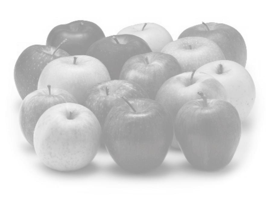 s «Fast Breeding» gezüchtete Äpfel Zoom-in: Fast Breeding und entsprechende Techniken Das Prinzip des «Fast Breeding» besteht darin, vorübergehend eine transgene Konstruktion zu verwenden, die im