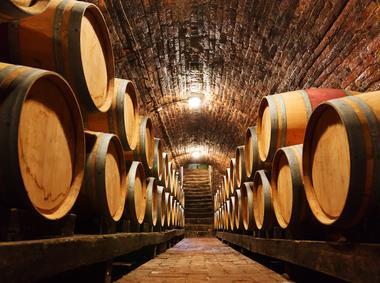 Tag: Haselnüsse, Haine und Weingut-Besuch Neben den erstklassigen Weinen ist das Piemont auch für seine edlen Haselnüsse bekannt.