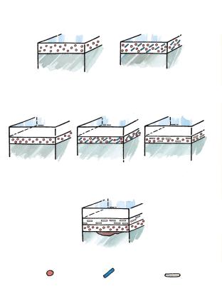 Decklackarten Im Einschicht-Verfahren wird Einschicht- Decklack, auch Uni-Decklack genannt, mit vielen Deckpigmenten aufgetragen.