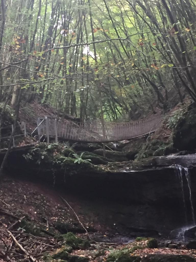 ständigem Nieselregen eine