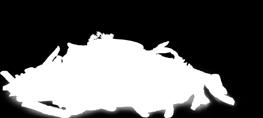2 #BBQ PULLED pork grosse Portion Hausfritten mit Pulled pork nach nordamerikanischem Vorbild - low & slow über sieben