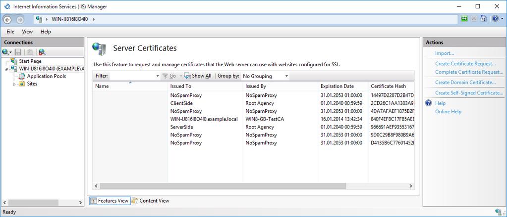 Installation eines SSL-Zertifikats im IIS Bild 12: Die Liste aller Server-Zertifikate Stellen Sie sicher, dass das verwendete SSL-Zertifikat unter anderem den exakten FQDN enthält, den Sie für den