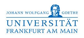 IT- Projekt -Management Dr.-Ing. The Anh Vuong EINLEITEN: Beschluss der Vorstandsitzung der INTER-UNI AG (*) am 01.09.