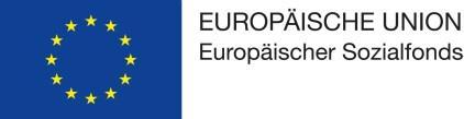 Datenblatt zur Erhebung von Indikatoren im Rahmen des ESF 2014-2020 Richtlinie zur Förderung von arbeitslosen und von Arbeitslosigkeit bedrohten jungen Erwachsenen in Brandenburg (Einstiegszeit)