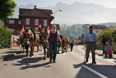 Schwing- und Älplerfest auf Melchsee-Frutt, 15. August 2017 Das Schwingen eine typische Eigenart der Schweiz. An Orten wie Melchsee-Frutt hat das Schwingen seinen Ursprung genommen.