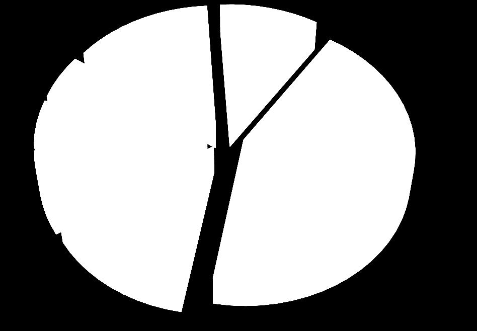 Nicht-operative Primärfälle IA IB IIA IIB IIIA IIIB IV Gesamt Operative Primärfälle anatomische Lungenresektionen 1.877 (74,57%) 1.010 (76,52%) 787 (76,33%) 712 (69,60%) 1.