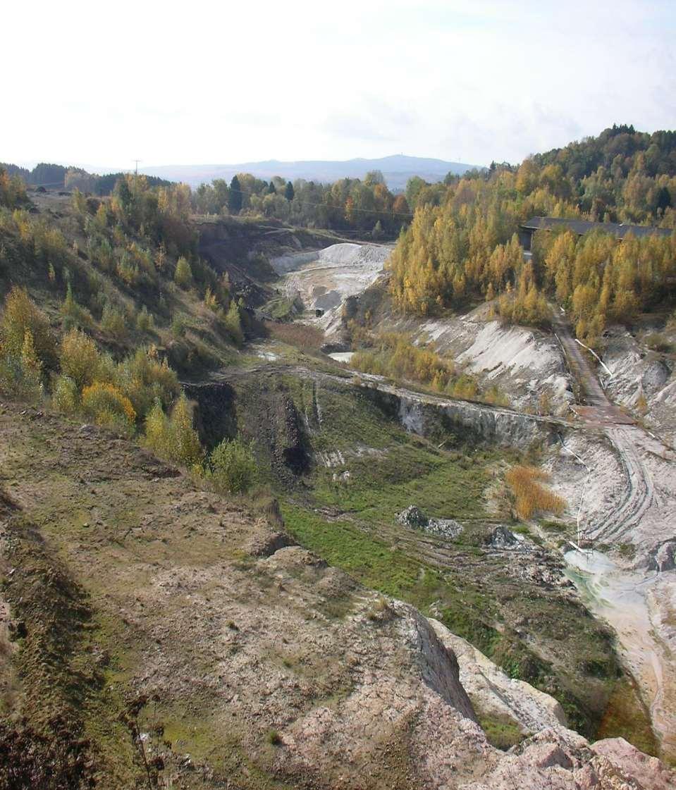 BKRI Naturschutzprojekte Rheinland-Pfalz ist reich an heimischen Rohstoffen Sande, Kiese
