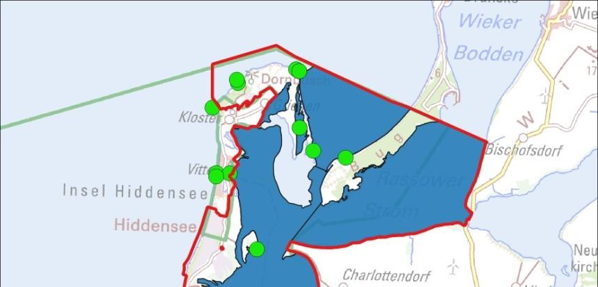 Anzahl (insbesondere Greifswalder Bodden) Vorkommen im Gebiet