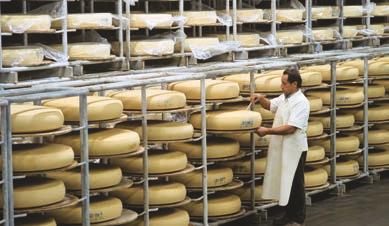 Käsefertiger ph-wert und regelung im Käsefertiger Im Käsefertiger müssen ph-wert und geregelt und registriert werden.