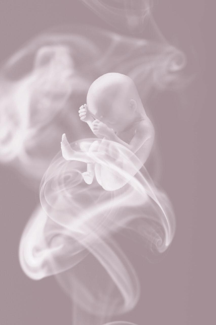 RAUCHEN IN DER Deshalb... Am besten ist es, wenn Sie mit dem Rauchen aufhören, sobald Sie wissen, dass Sie schwanger sind.