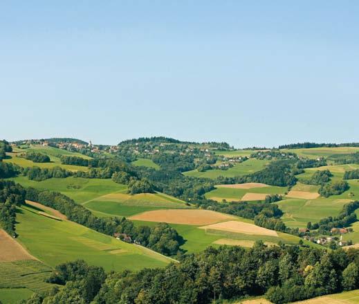 Urlaub im Südburgenland bietet Ihnen eine wunderbare Möglichkeit dazu!