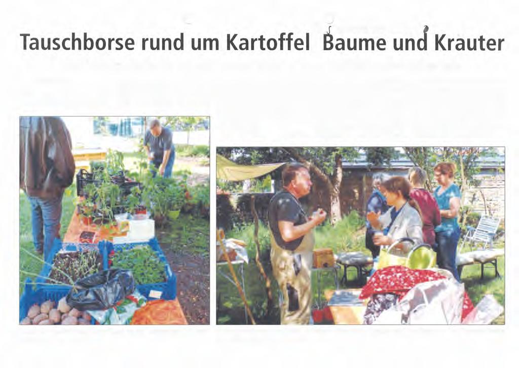 ._/ - Tauschbörse rund um Kartoffel:oBä~ñf~ ~~di7kräutef Erste Aktion im "Garten der Kulturen" / Junge Männer hatten viel Spaß bei der Arbeit mit der Sense Von Johanna Klotz WERl Zum ersten Mal