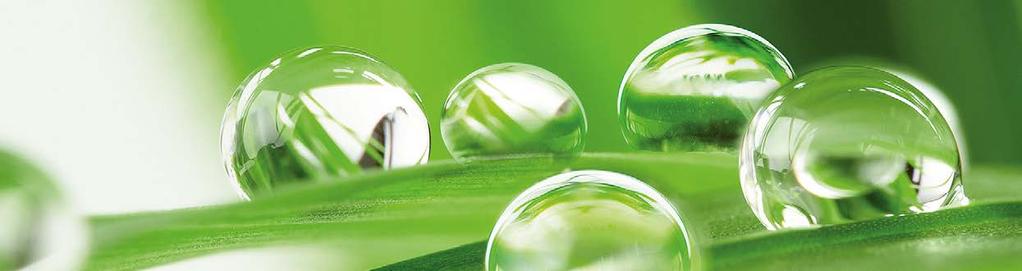 8 Green Technology Verbindung von Innovation und Nachhaltigkeit. Eines unserer wichtigsten Unternehmensziele.