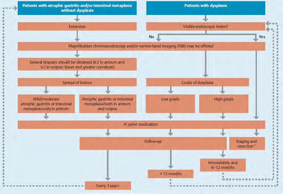 Management of patients with atrophic gastritis and/or IM ESGE,